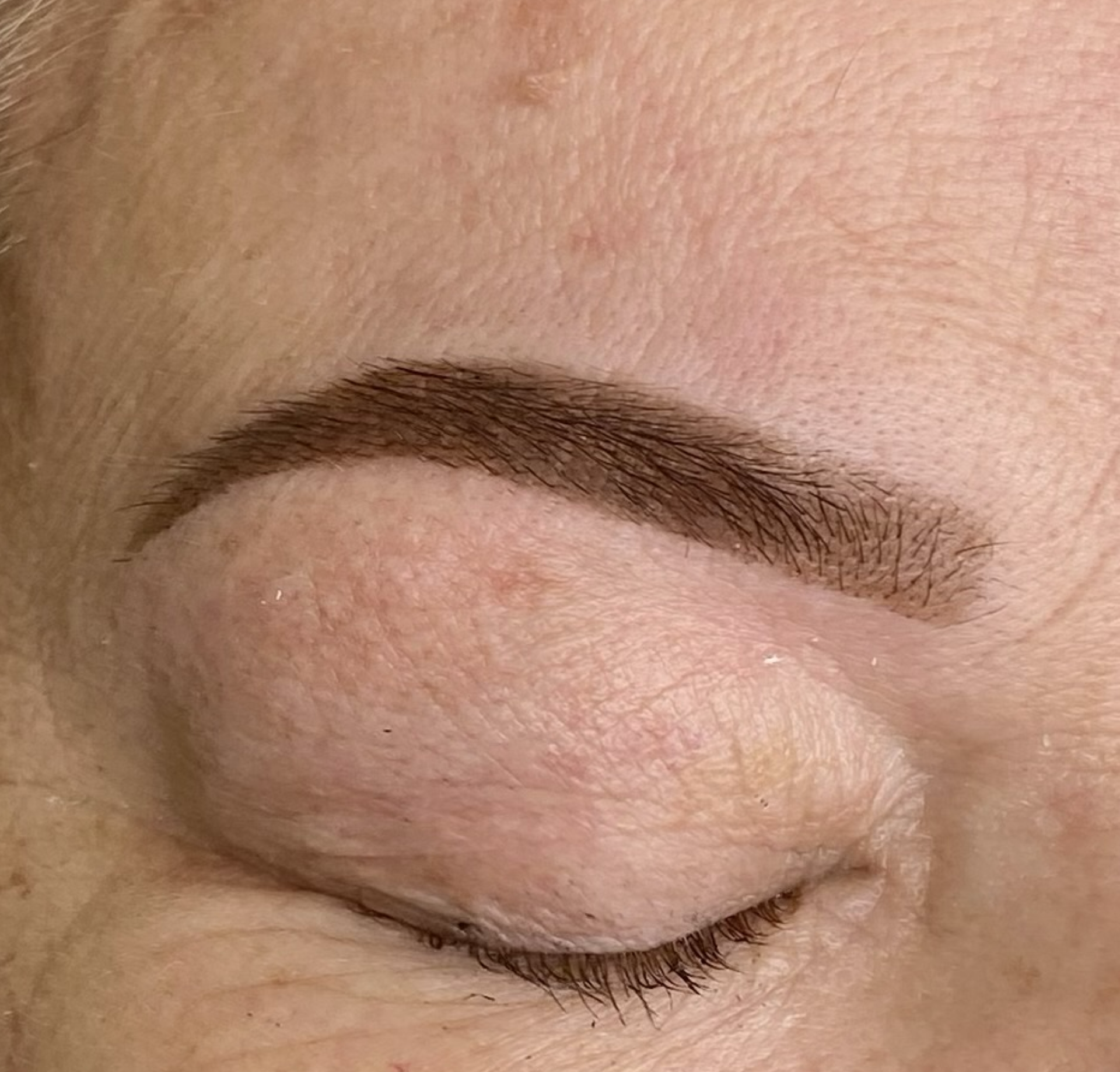ombre brow